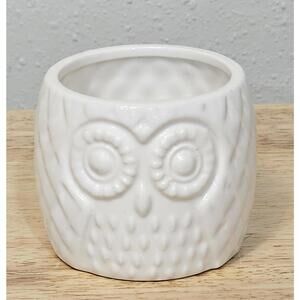 Charming Bloomindoors Owl Planter - White Ceramic Succulent Pot